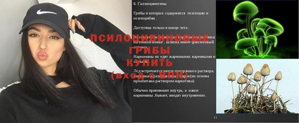 дмт Алексеевка