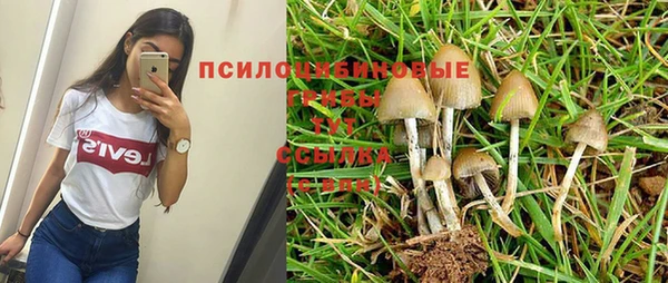 спайс Абаза