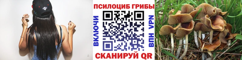 MEGA сайт  Мостовской  Галлюциногенные грибы прущие грибы 